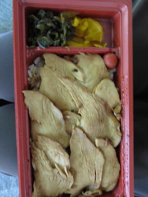 lunch torihe