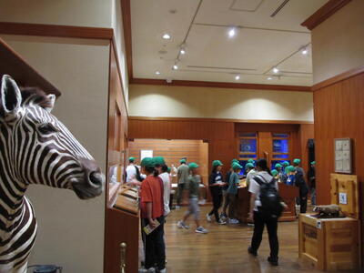 In the museum 2