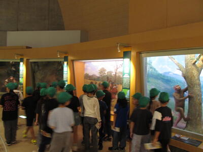 In the museum 3