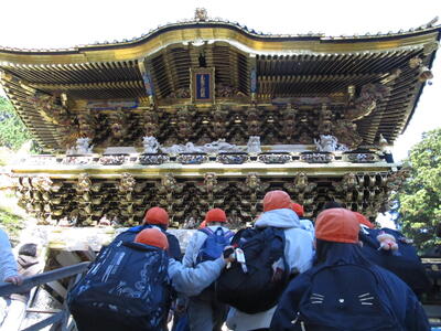 group activity in fornt of Yomeimon gate