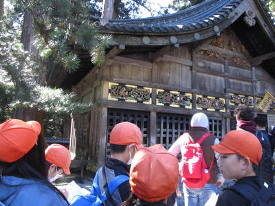 group activity 6