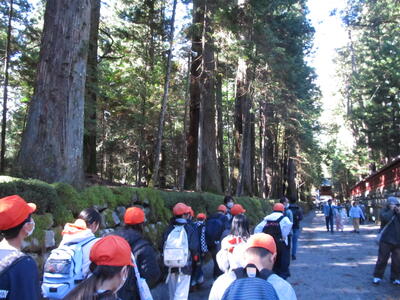 walking in the Tosyogu1
